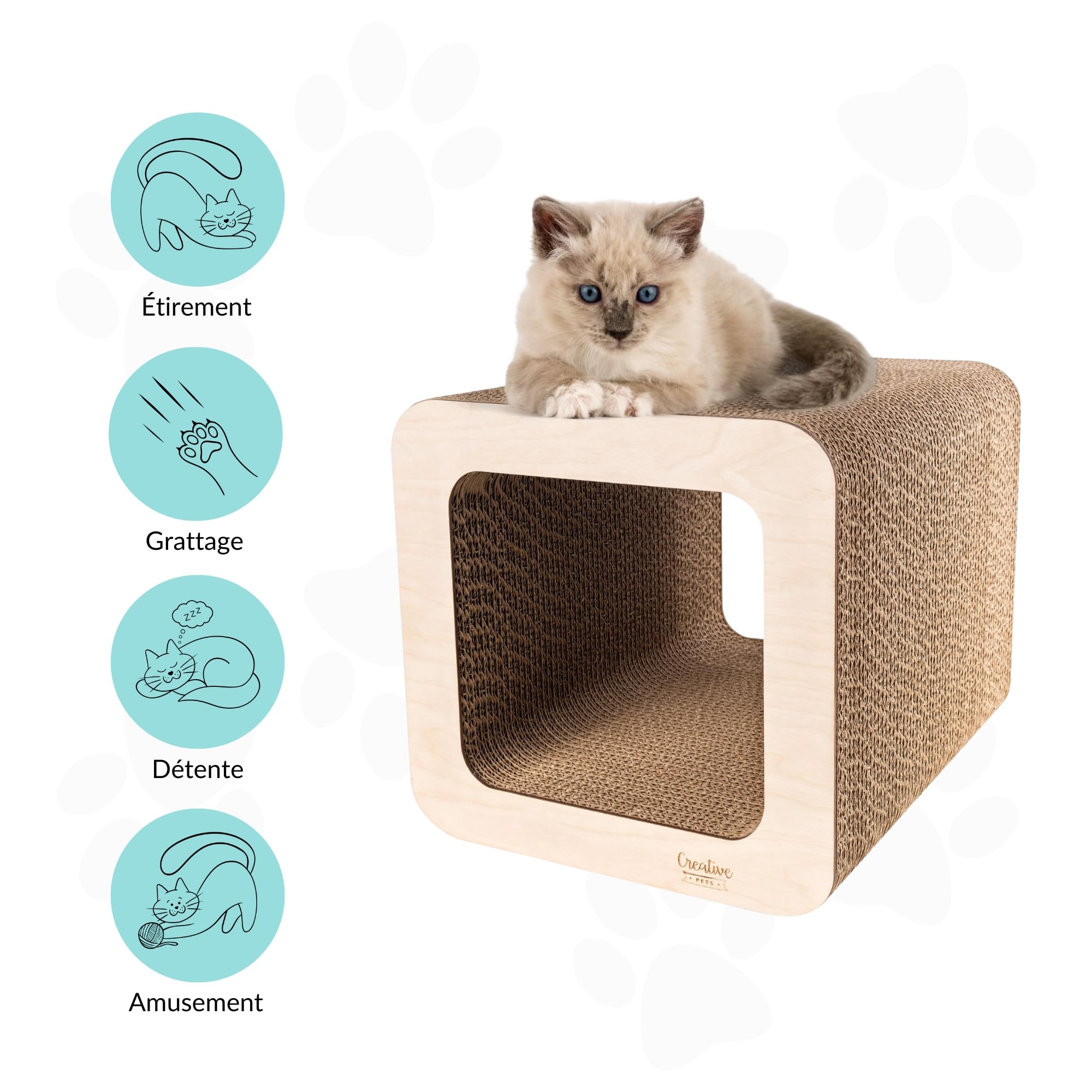 Griffoir pour Chat 37 x 30 x 30 cm + Maison en Carton | Grattoir Chat Renforcé avec du Contreplaqué | Grand Carton à Gratter pour Chats | Protège Vos Meubles