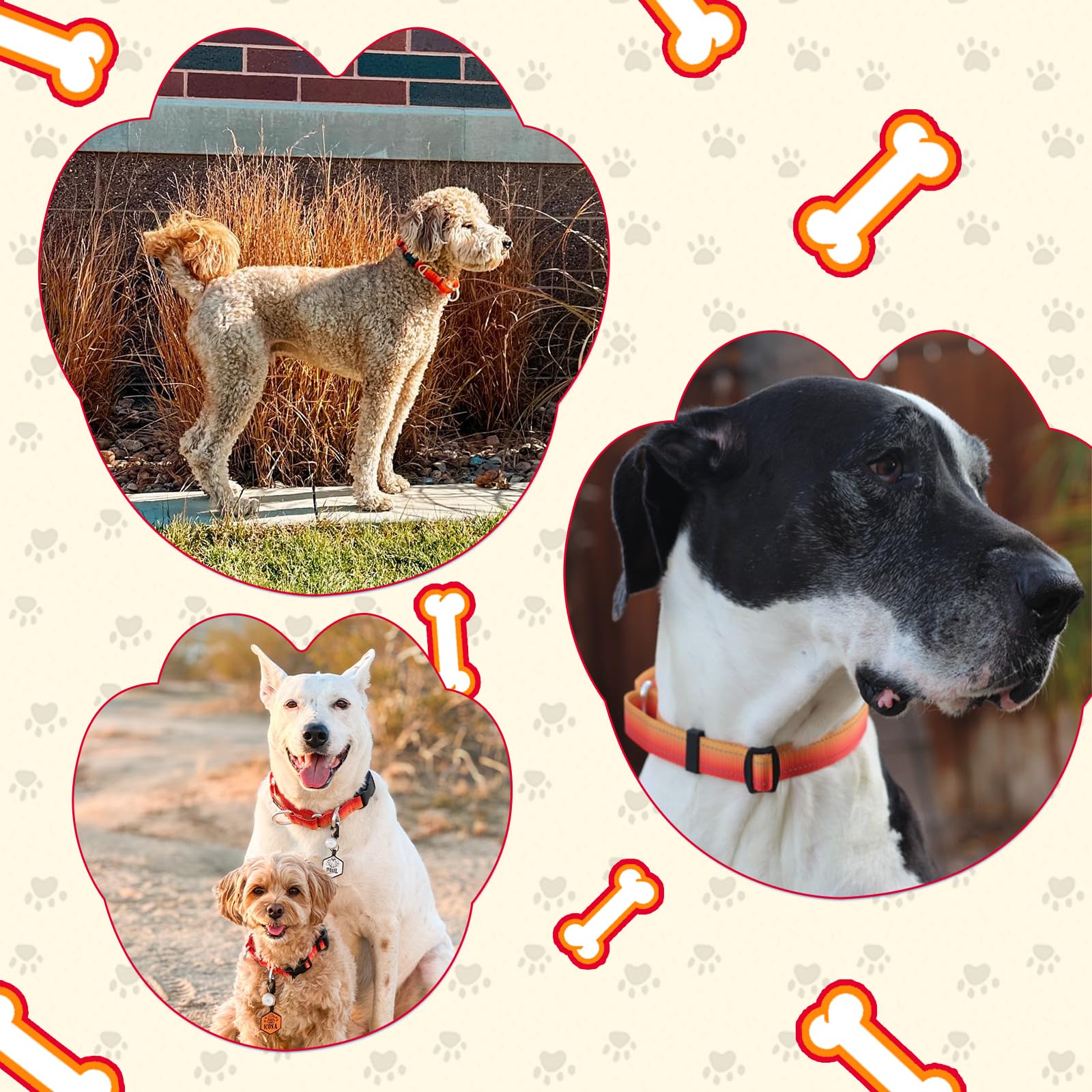 Obroża dla psa odblaskowa przeciw trakcji nylonowa pomarańczowa Arblina Martingala dla Whippets Greyhounds Saluki American Bully