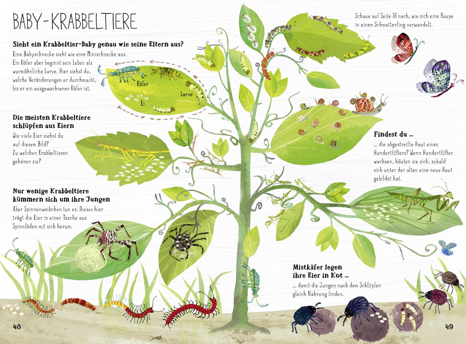 Das große Buch der Krabbeltiere: Kinderbuch über Insekten ab 4 Jahren: Mit vielen schönen Illustrationen und spannendem Kinderwissen (Tolles Geschenk für naturbegeisterte Kindergartenkinder)