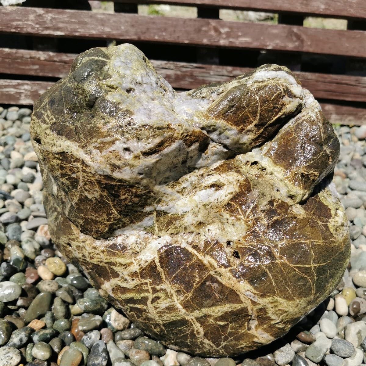 Amazon.co.jp: 三波石16.6キロ庭石鑑賞石石盆石水石灯籠庭坪庭盆栽