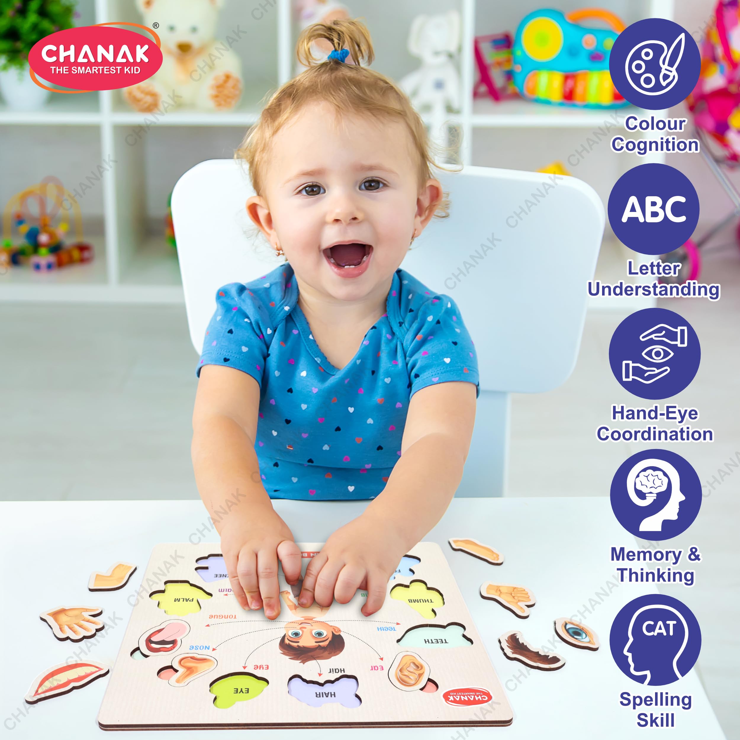 Chanak Wooden Human Body Parts Puzzle with Picture Educational 10 Piece Anatomy Board for Kids Montessori Learning Puzzle for Toddlers & Preschoolers, Nursery and Kindergarten Age Above 2+ Years - Image 6 thumbnail