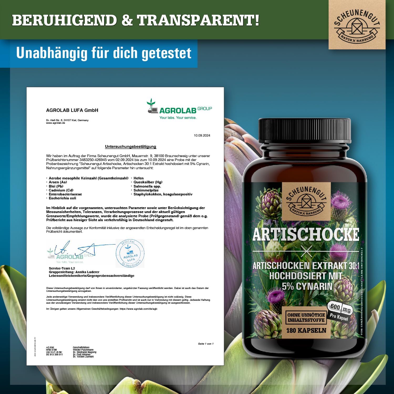 Artischocken Kapseln Hochdosiert 2400mg -WICHTIG: 30:1 Extrakt (=72000mg reine Artischocke je Tagesdosis) +5% Cynarin -Artischockenextrakt- Artischocken Kapseln DE SCHEUNENGUT®