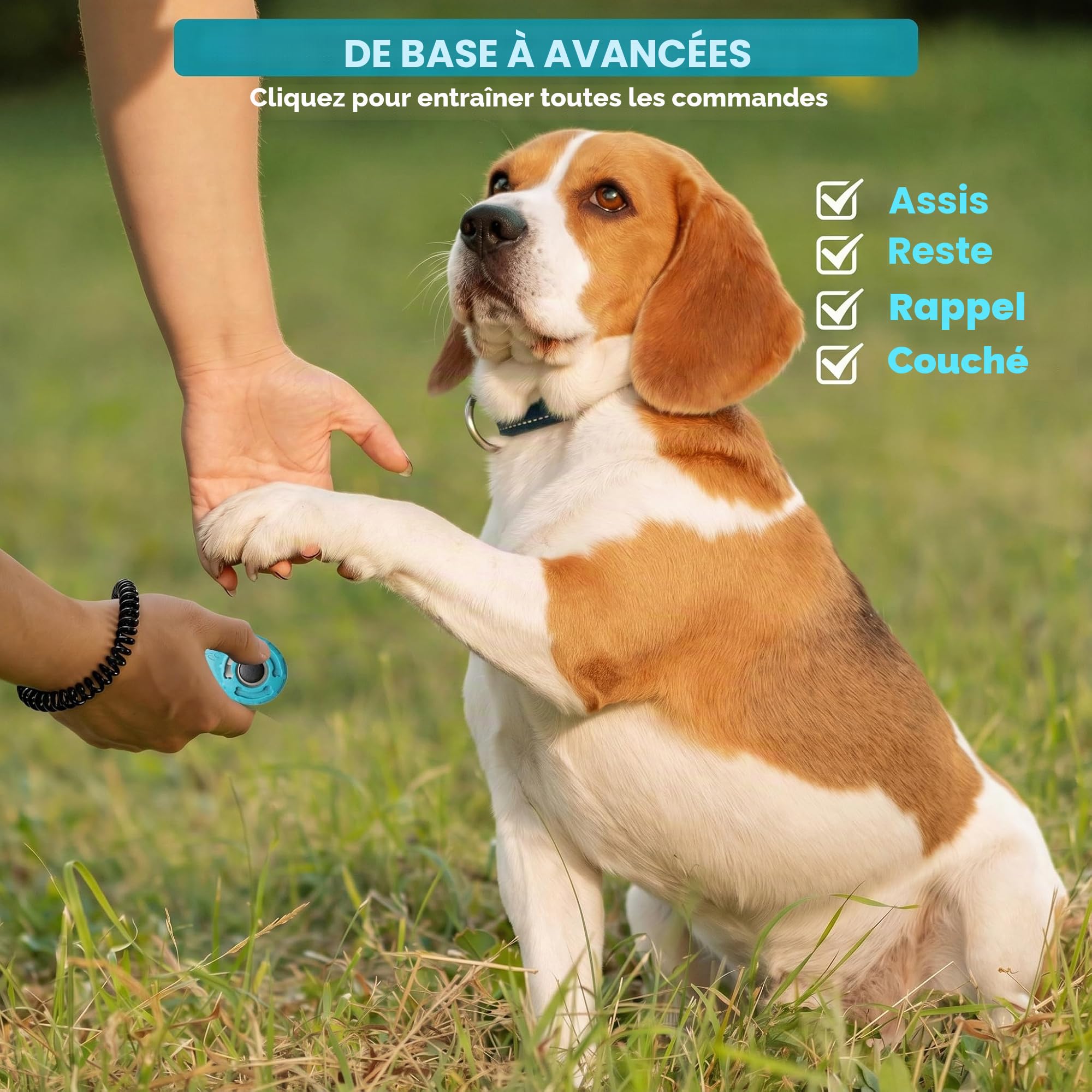 Clicker de Dressage pour Animaux de Compagnie avec dragonne – Clicker de Dressage pour Chien (Nouveau Noir + Bleu)