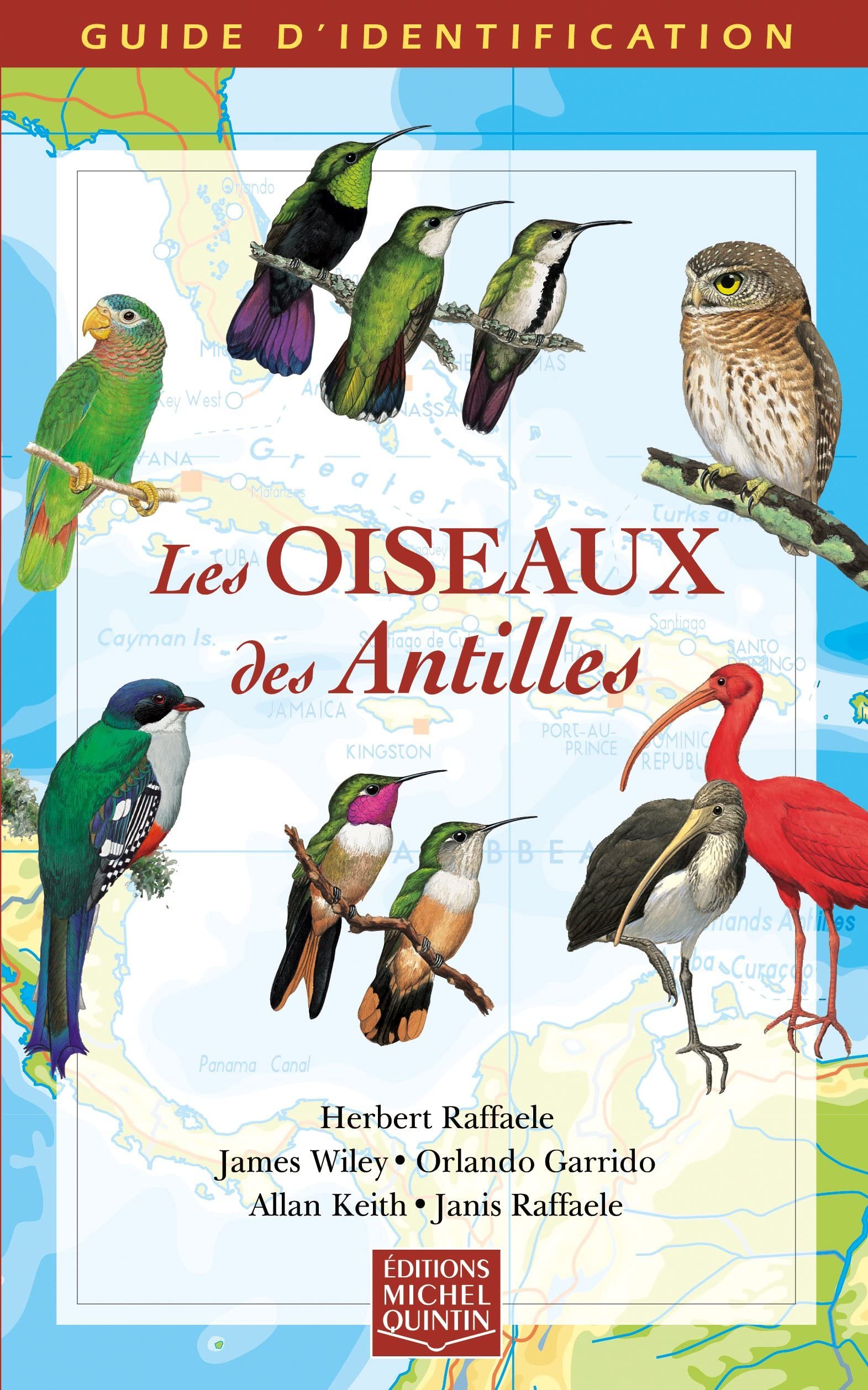 Les oiseaux des Antilles guide d'identification