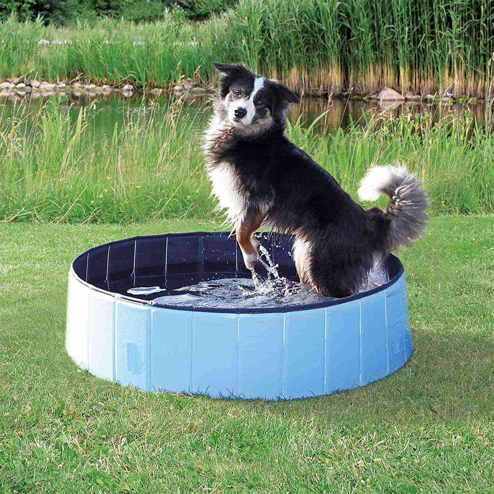 Piscina Pieghevole Per Cani E Gatti - PVC 80x20cm Con Drenaggio