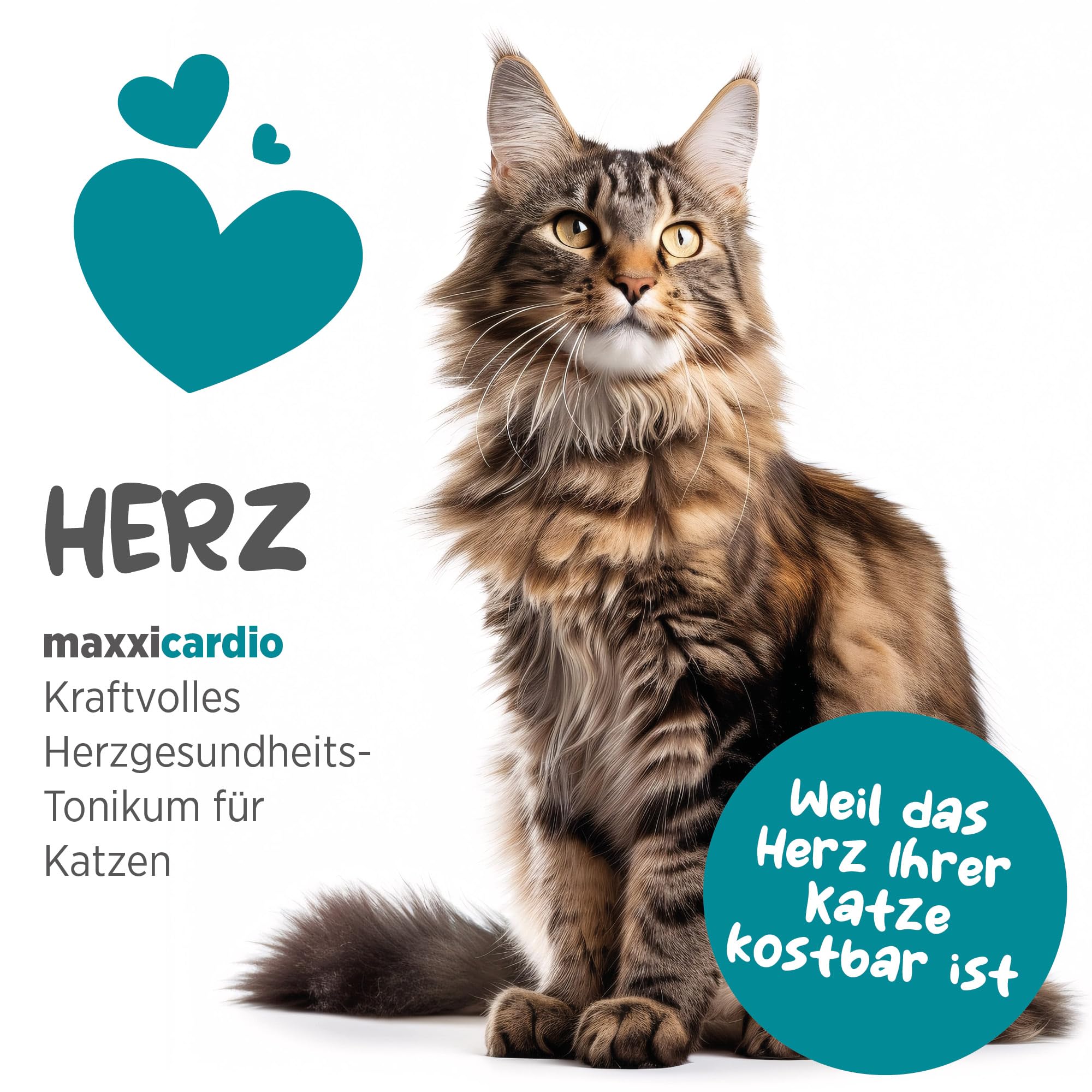 maxxipaws maxxicardio Herz- und Kreislauf Ergänzungsfuttermittel in Pulverform für Katzen, 90 g