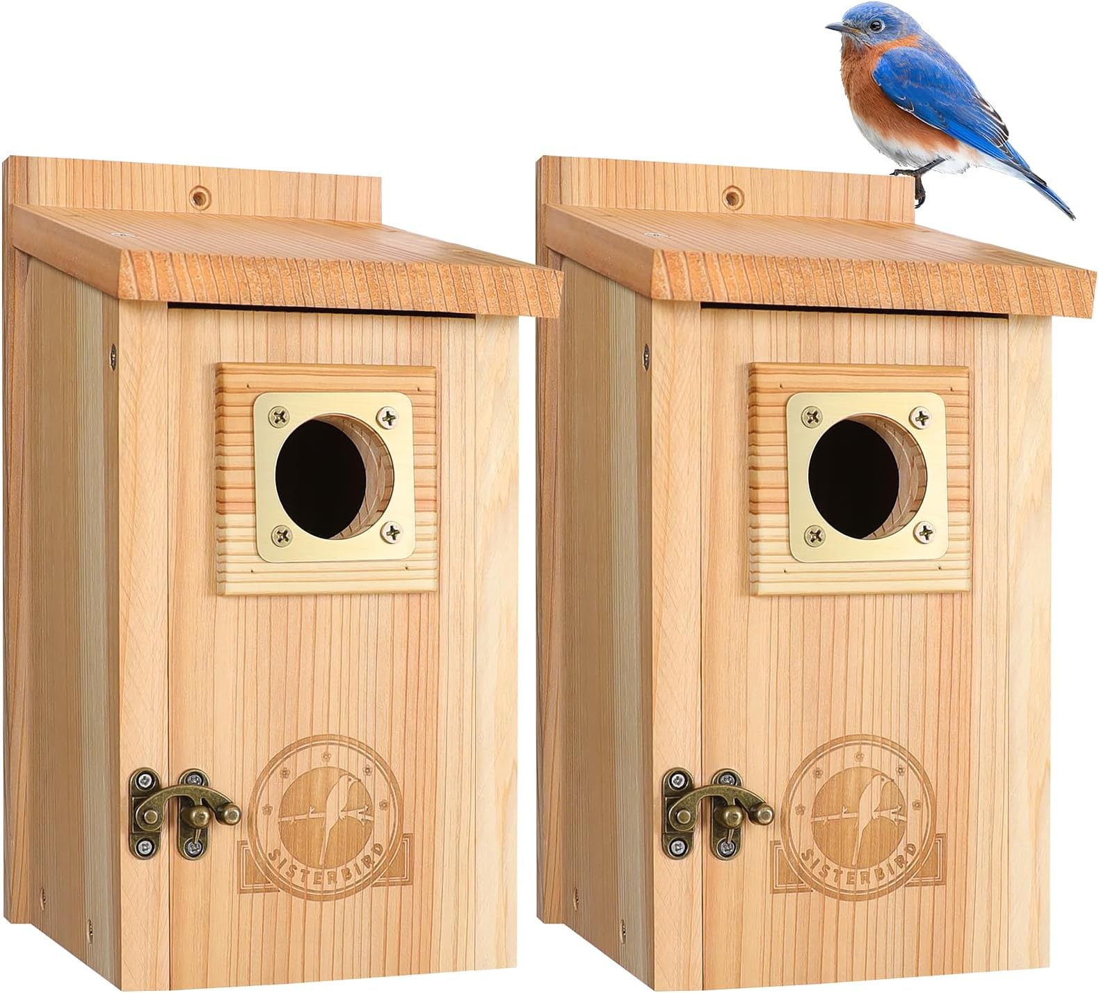 SISTERBIRD 2 Pack Bird Houses for Outside Clearance with Copper Guard, Cedar Bird House Outdoor, Bluebird Finch Swallow Wren Chickadee Assembly Required