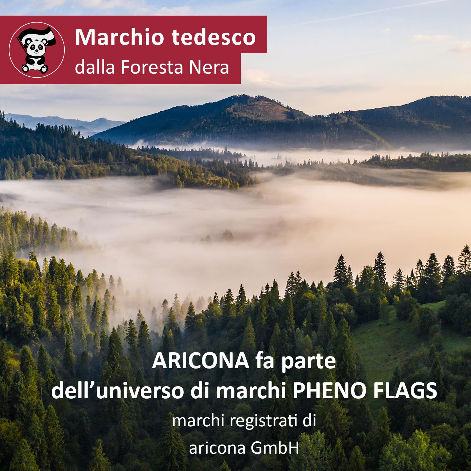 Aricona Bandiera Italia 90x150cm poliestere con occhielli in ottone resistente alle intemperie