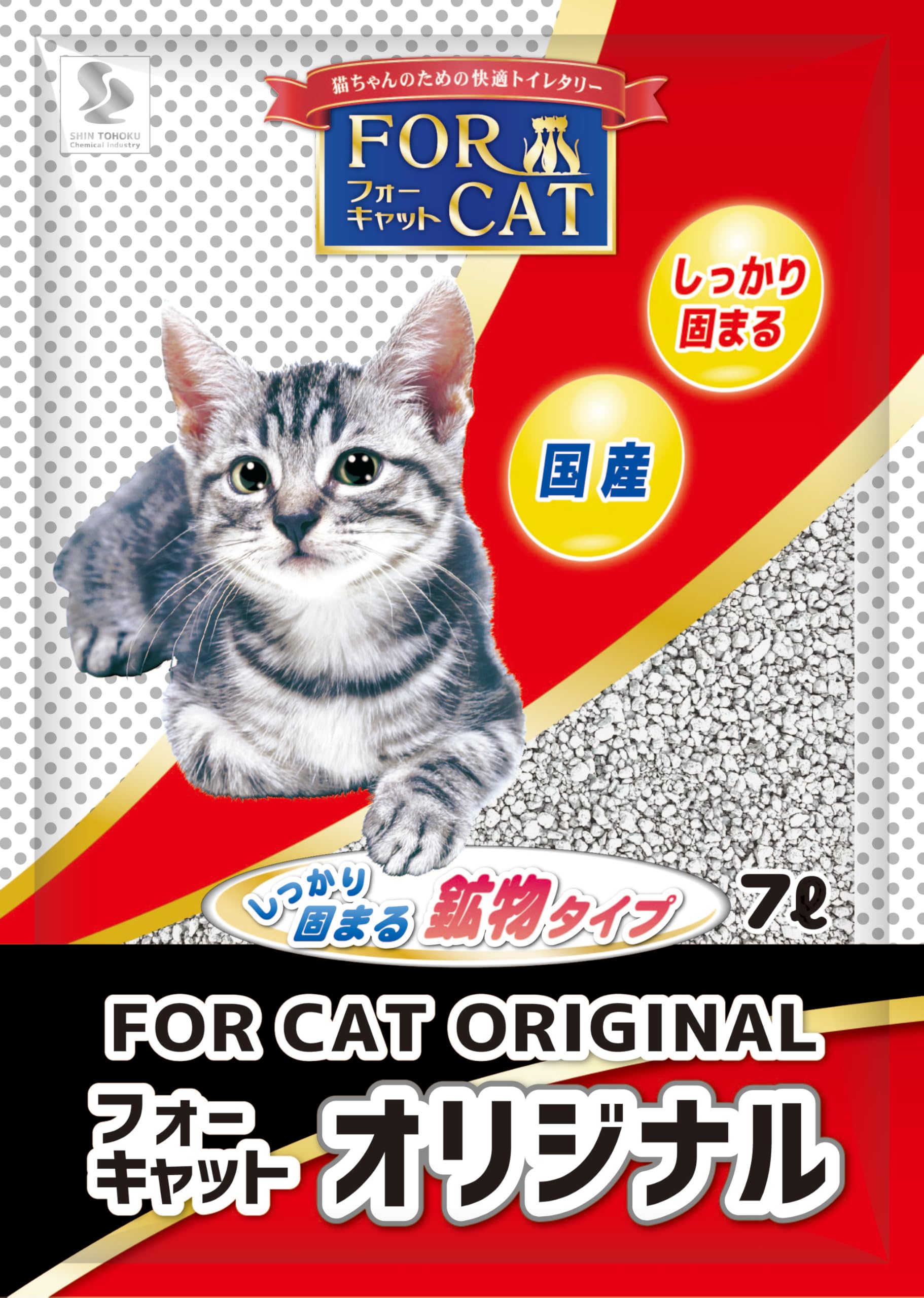 新猫 カラーリング完成‼︎ 昨日の朝、茂木から岡山に向けて出発しま