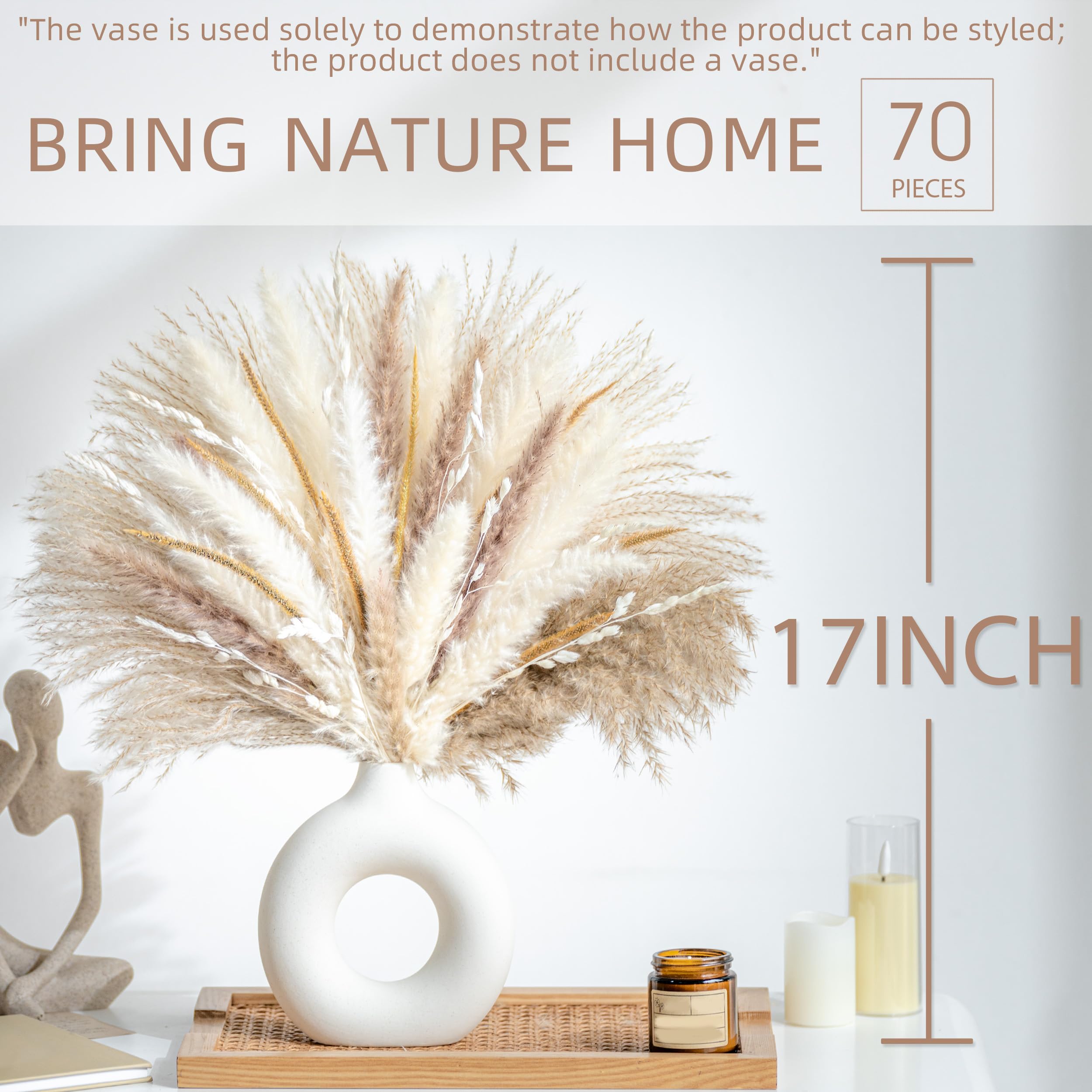 Lot de 70 bouquets de fleurs séchées naturelles d'herbe de la pampa bohème pour décoration d'intérieur, bouquet de phragmites pour mariage, arrangements floraux, décorations de salon (70 pièces)