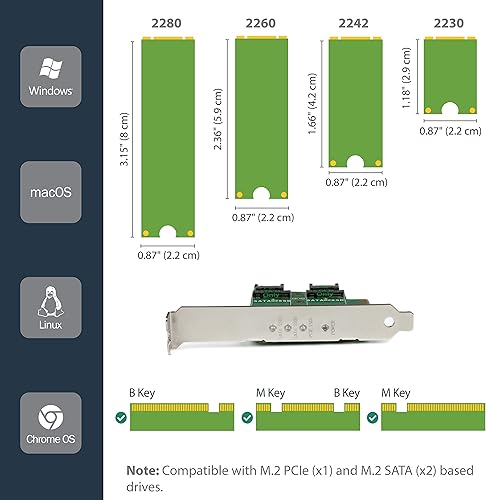Miniatura 9 de StarTech.com Tarjeta adaptadora dual M.2 PCIe SSD - X8  x16 Dual NVMe o AHCI M.2 SSD a PCI Express 3.0 - Compatible con M.2 NGFF PCIe (M-Key)
