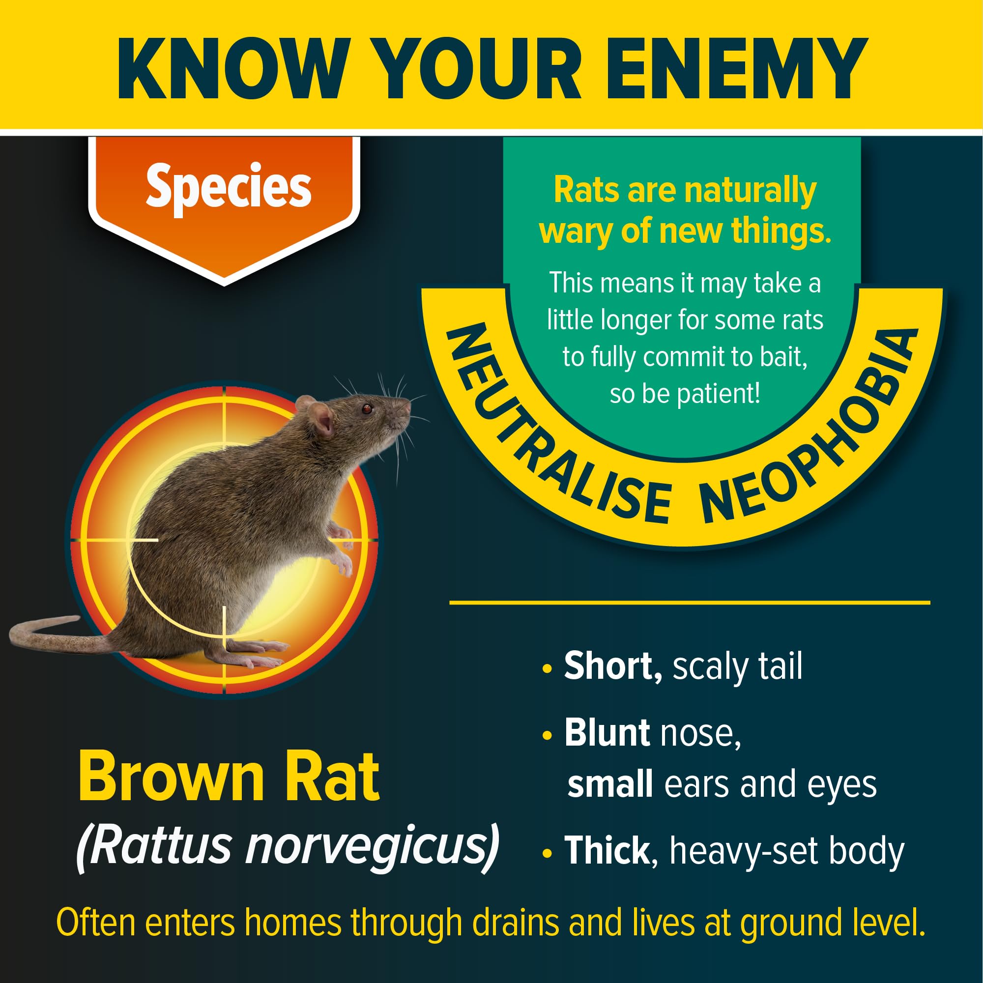 NOPE! Pre-Baited Rat Kit for Indoor/Outdoor Use (2 boxes, 6 blocks) | Ready-to-Use Brodifacoum Rodent Poison Bait Blocks with Max Strength — view 13