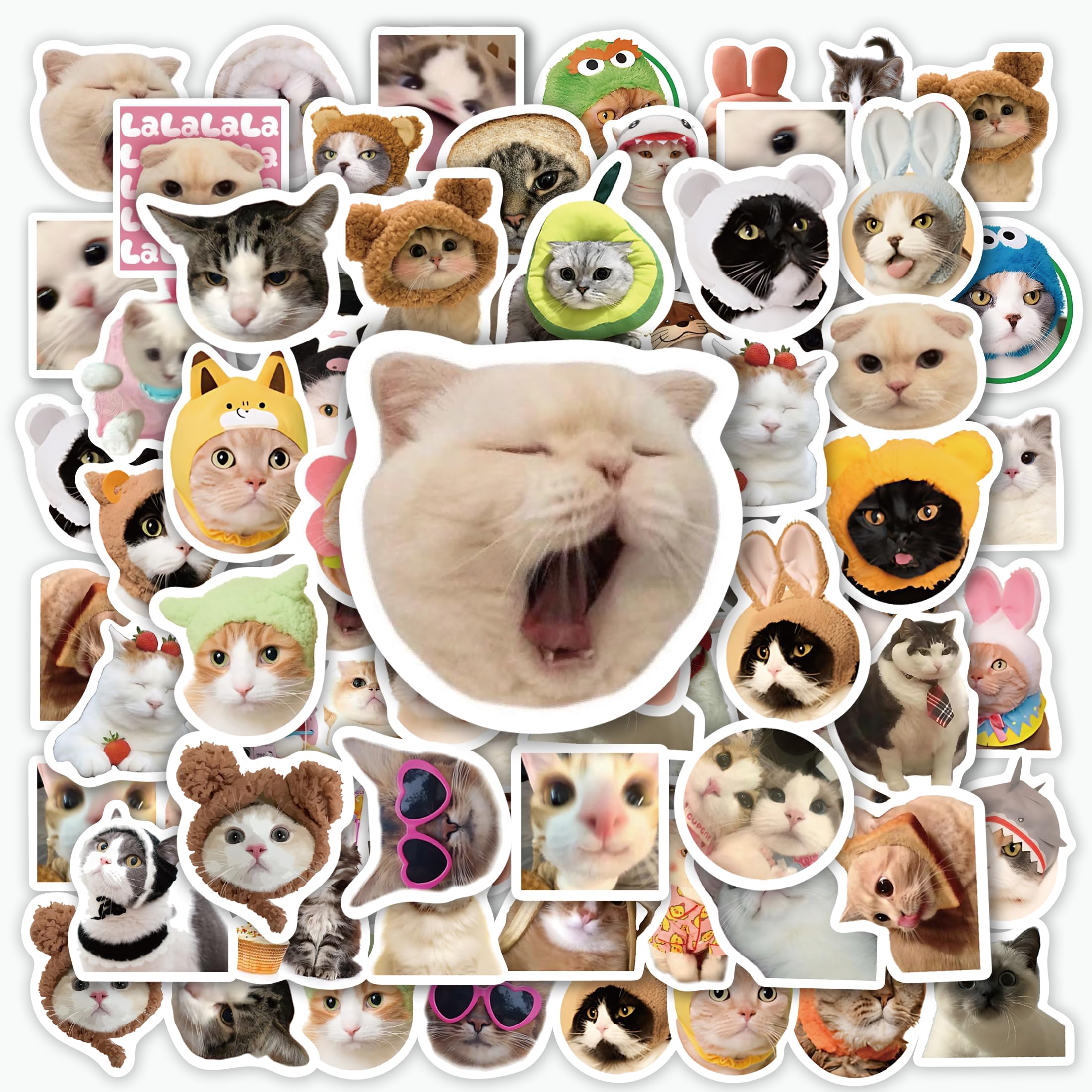 50 Pcs Cute Cats Meme Water Bottle Stickers for Kids, Funny Kitten Animals Laptop Decals, Waterproof Vinyl Stickers for Skateboard Envelope Guitar Scrapbook Phone Case Luggage