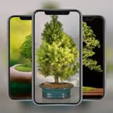Bonsai Tree Wallpaper HD is in Offline Mode so no internet requierd