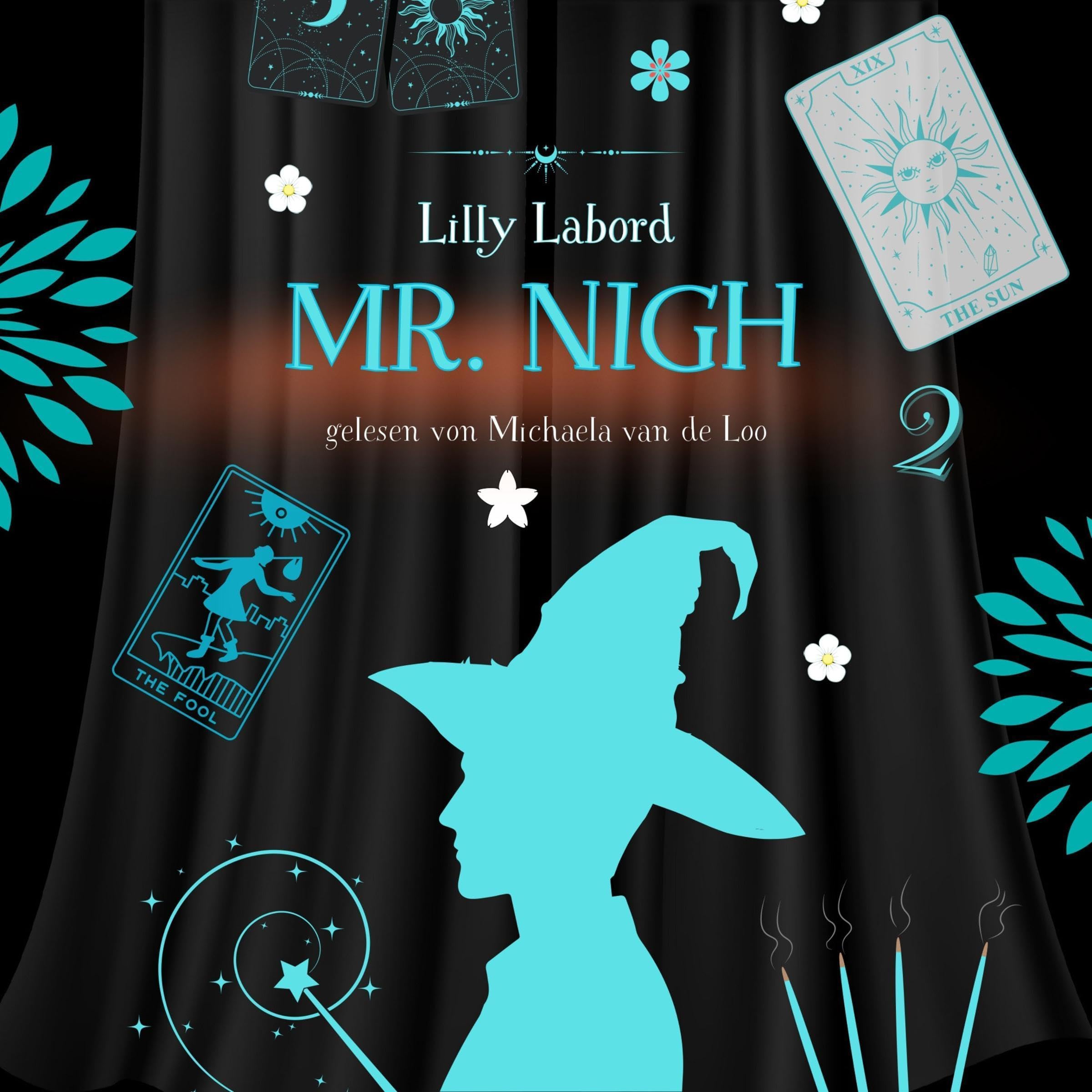 Cover art for Mr. Nigh