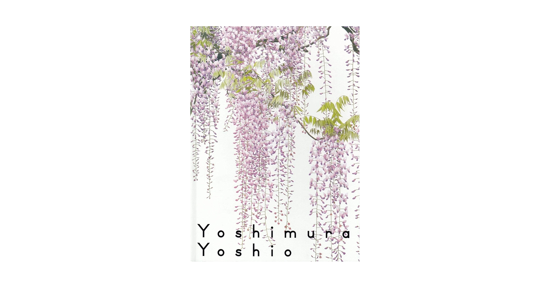 吉村芳生　超絶技巧を超えて　[図録] 図録 | 吉村芳生 | 超絶技巧を超えて - ノースブックセンター