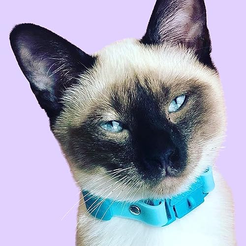 Vista 76 de Kittyrama Collar de gato Aqua con campana, ganador del premio, aprobado por veterinarios, liberación rápida, ligero y cómodo