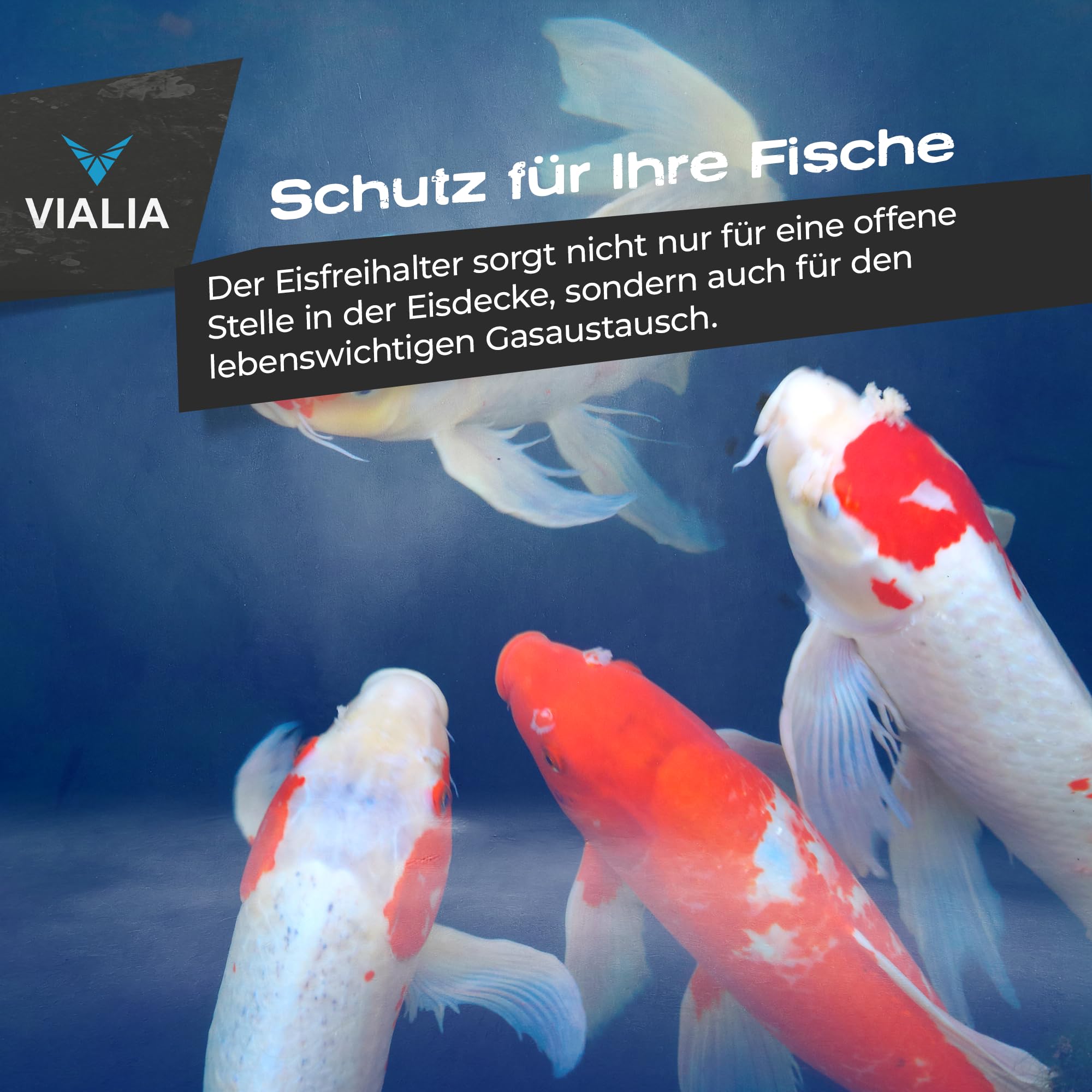 Eisfreihalter Gartenteich Ø 40 cm | Styropor Schwimmkörper mit Deckel & Lüftungsrohr | Winterschutz für Fische & Pflanzen | Verhindert Zufrieren & sichert Gasaustausch | Frostfest