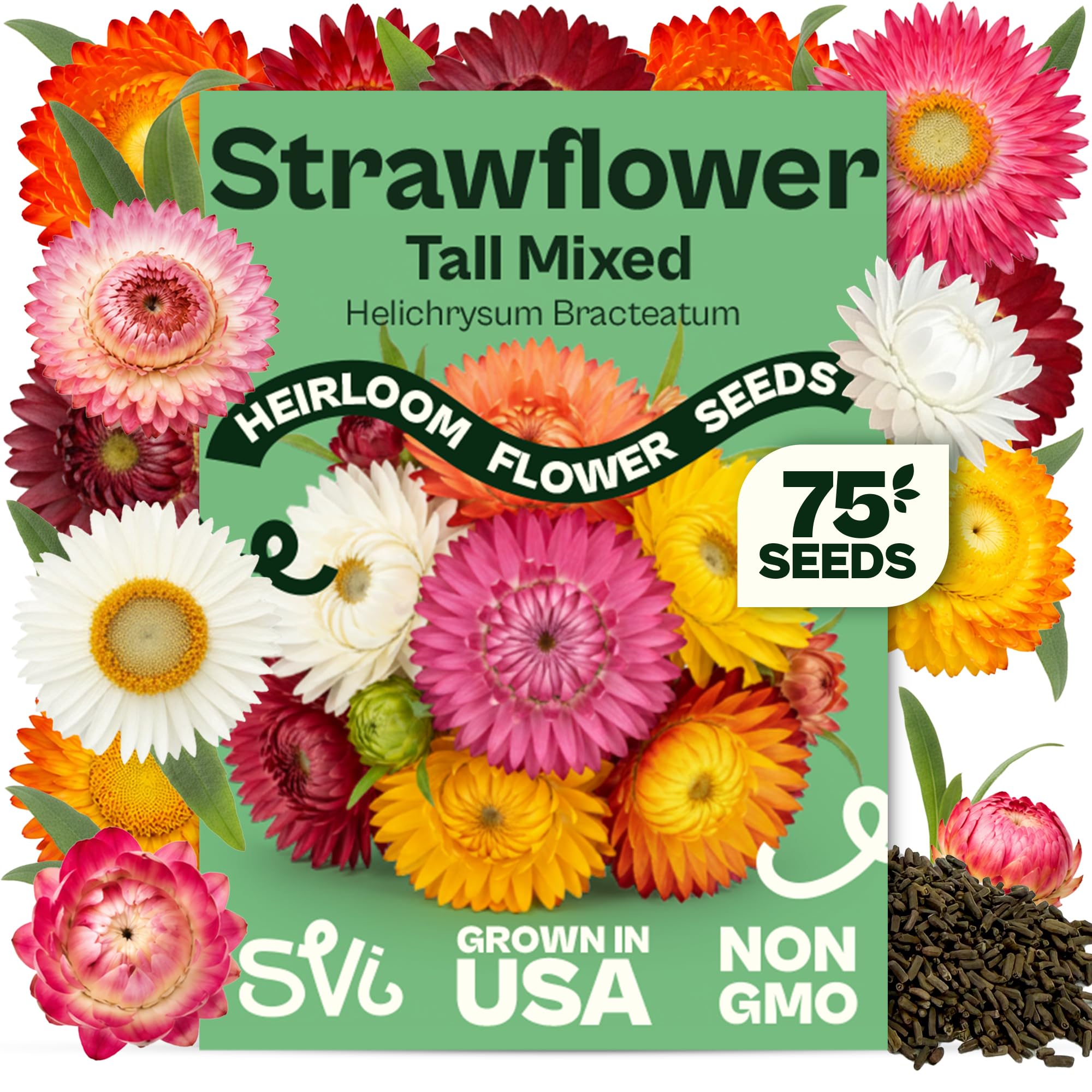 SVI 1100 Mix Tall Strawflower Seeds (Helichrysum bracteatum) – Straw Flower Seed Packets, Paper Daisy Flowers Seed Mix – Everlasting Flowers, Cut & Dried Arrangements, Flower Seeds Garden, Containers