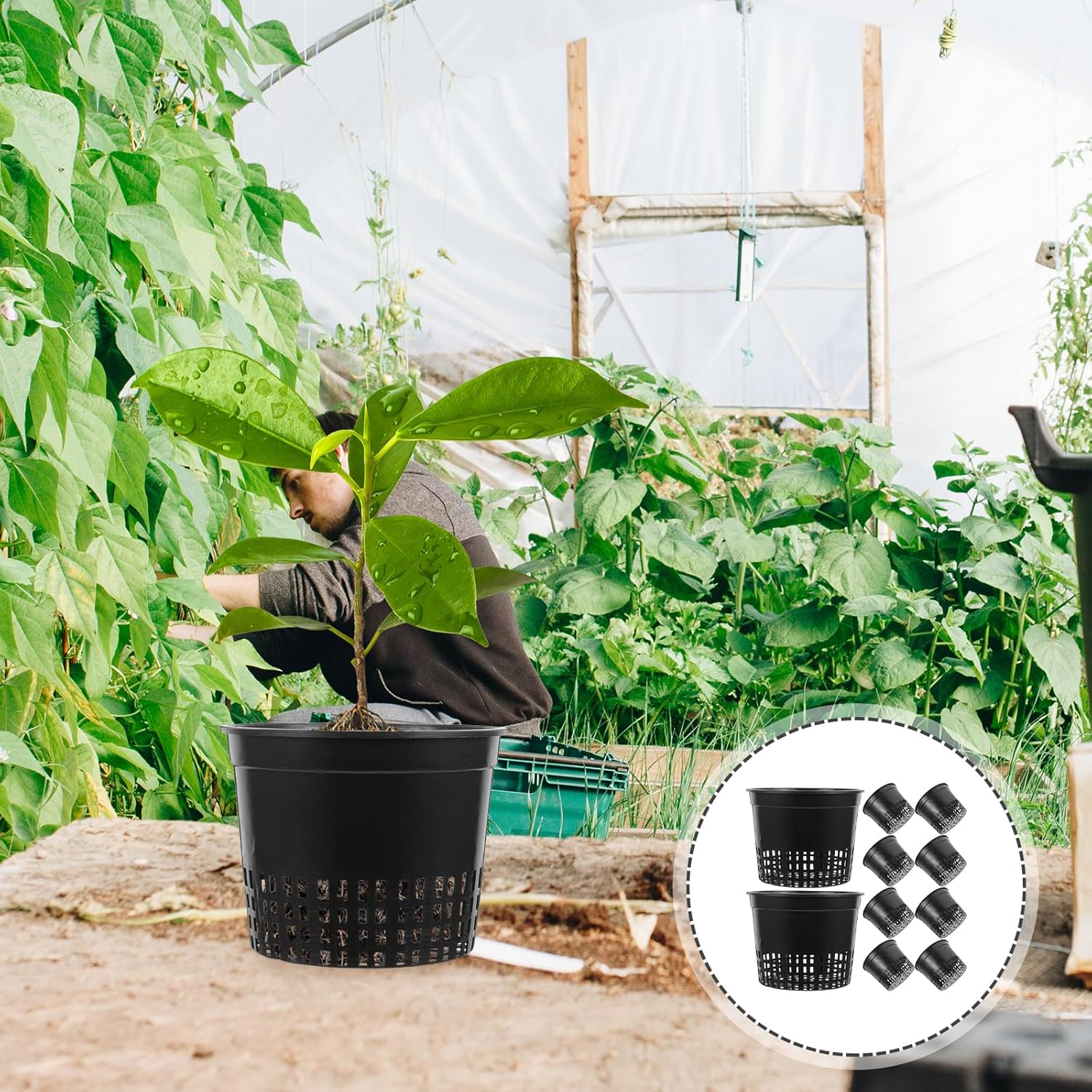 DOITOOL 10 Pcs 5 Inch Net Pots for Hydroponics, Plastic Garden Slotted Mesh Net Cups, Hydroponic Pots Planter for Aquaponics Orchids Nursery Grow Planting Supplies