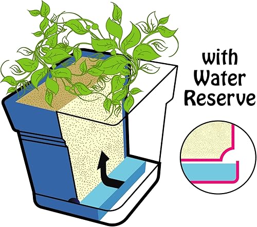 Miniatura 16 de Mintra - Macetas de plástico para plantas, maceta cuadrada para plantas de interior y exterior, macetas de jardín con platillos y agujeros de verde