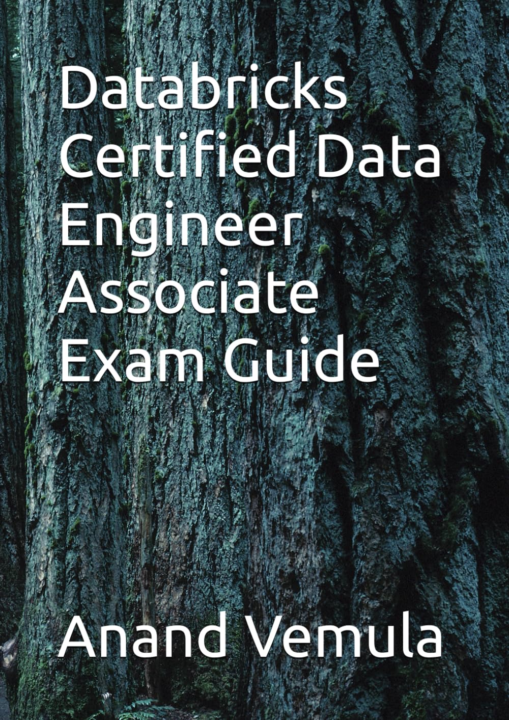 Databricks Certified Data Engineer Associate Exam Guide