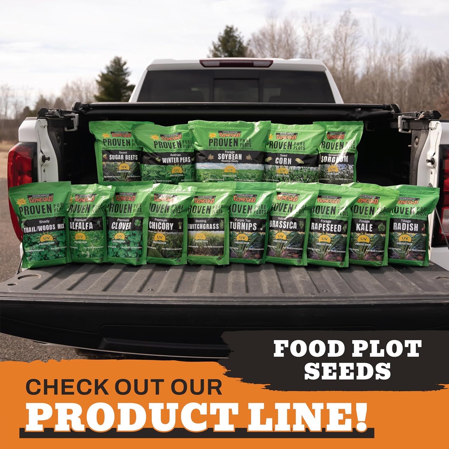 Premium Chicory Food Plot Seeds, 3lb Bag, G0958