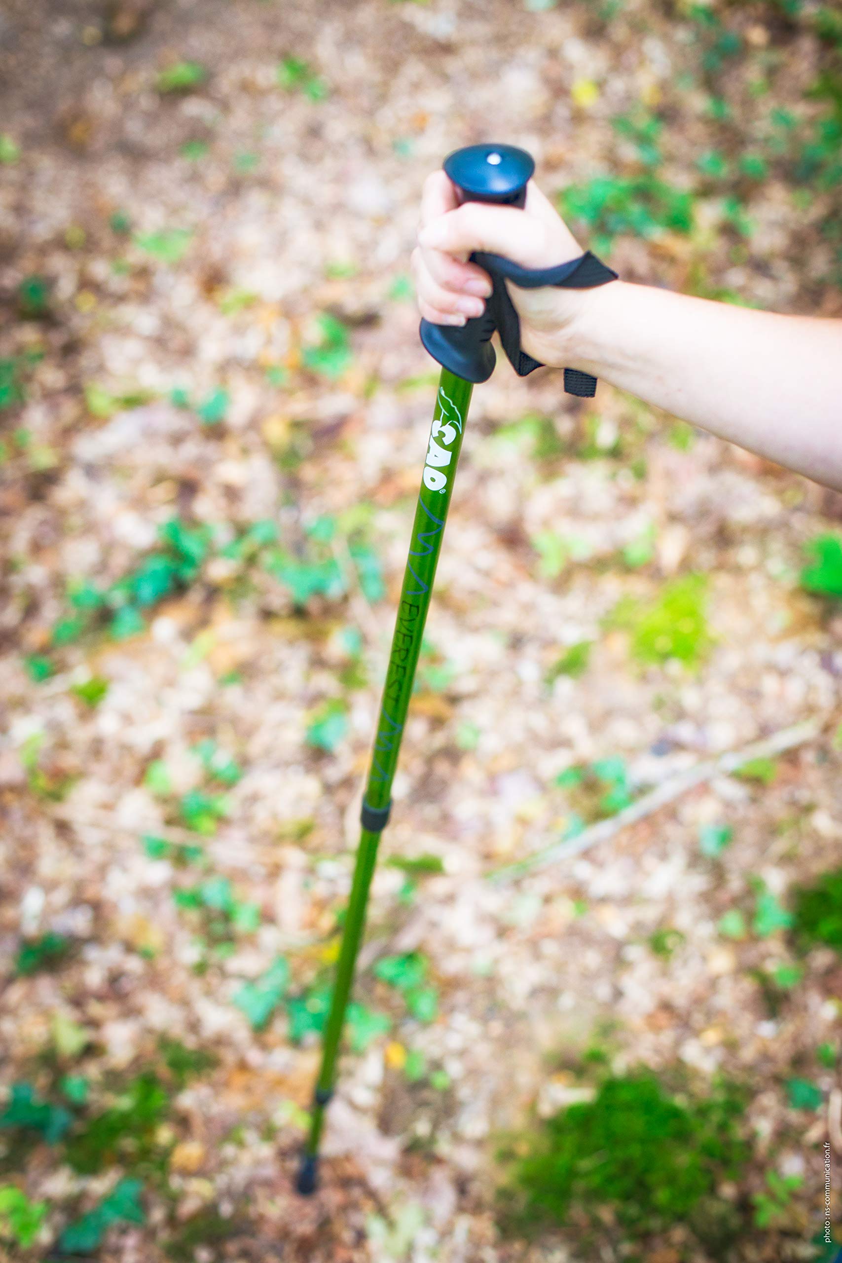Cao Camping - Coppia di Bastoncini da Trekking telescopici, Colori Assortiti