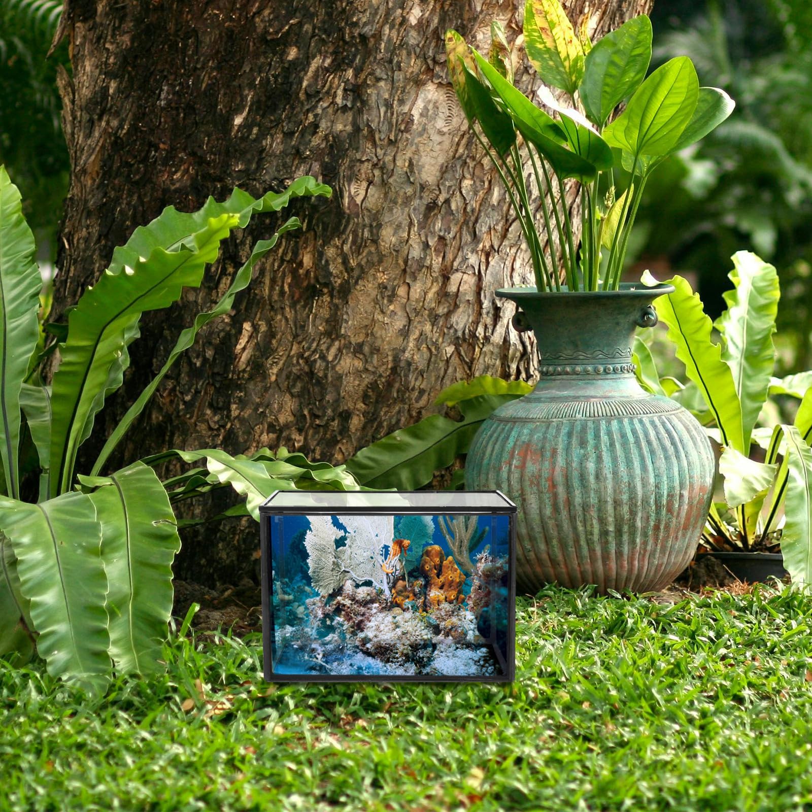 Terrario de Plantas Suculentas de Vidrio Transparente para Decoración, Recipiente Pequeño y Creativo para Jardín o Regalo, Estilo Natural y Artístico