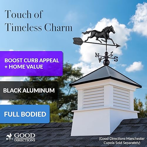 Miniatura 4 de Good Directions Veleta de caballo trotante