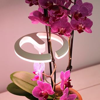 Halo 360 LED Plant Light (1 - Pack)