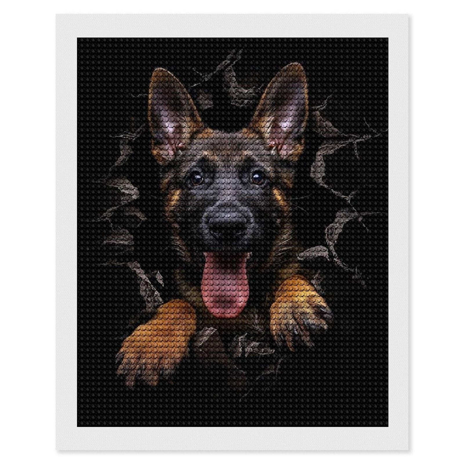 Junmoney Belgian Malinois Diamond Art Kit 16"x20", Creative Leisure Activity, Complete Accessories, Vintage Style Decor, for Women