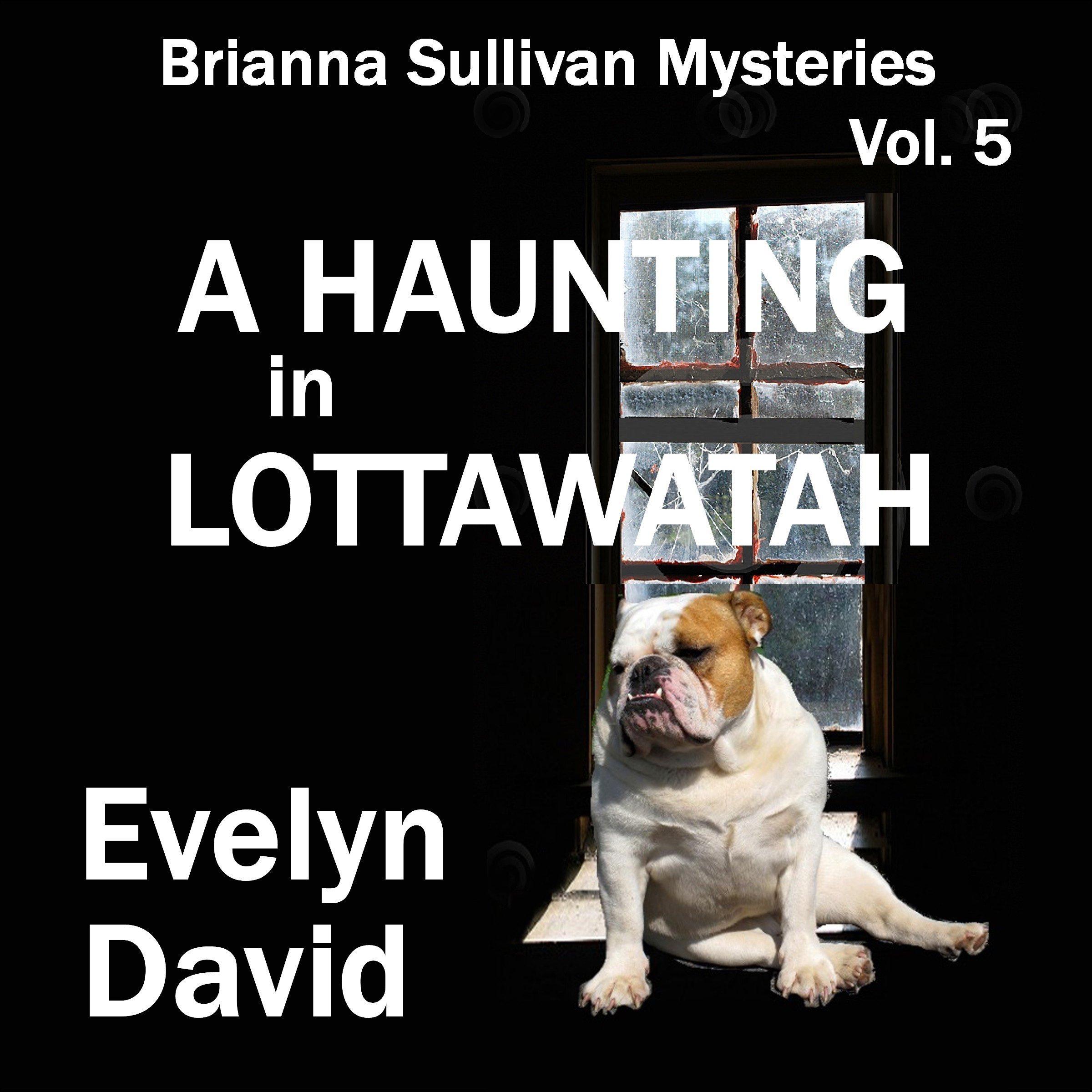 Cover art for A Haunting in Lottawatah