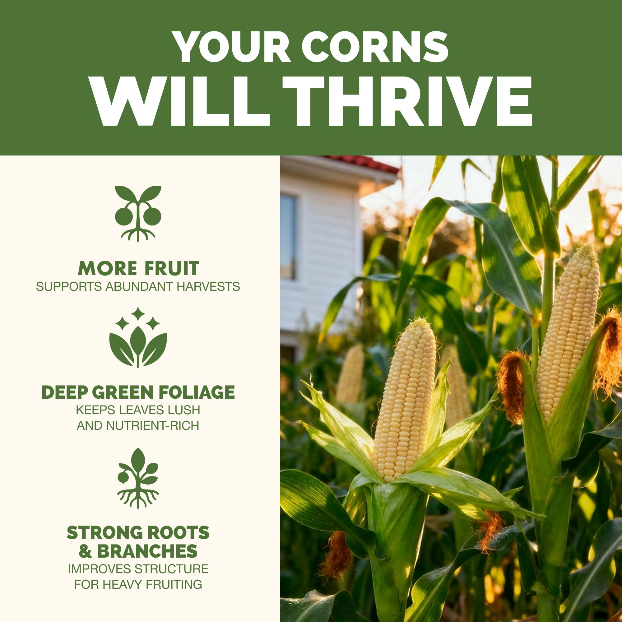 Amazon.com : High Nitrogen Fertilizer for Corn  Liquid Plant Food for  Strong Stalk Growth, Deep Green Leaves & Bigger Ear Development, 8 oz :  Patio, Lawn & Garden