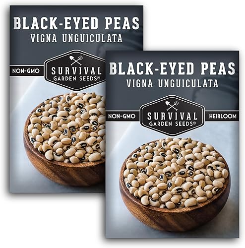 Paquete de 2 semillas de guisante Blackeyed para plantar, paquete con instrucciones para cultivar caupí de ojos negros en el huerto de tu hogar,