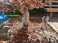 Review Image by Fran Fran