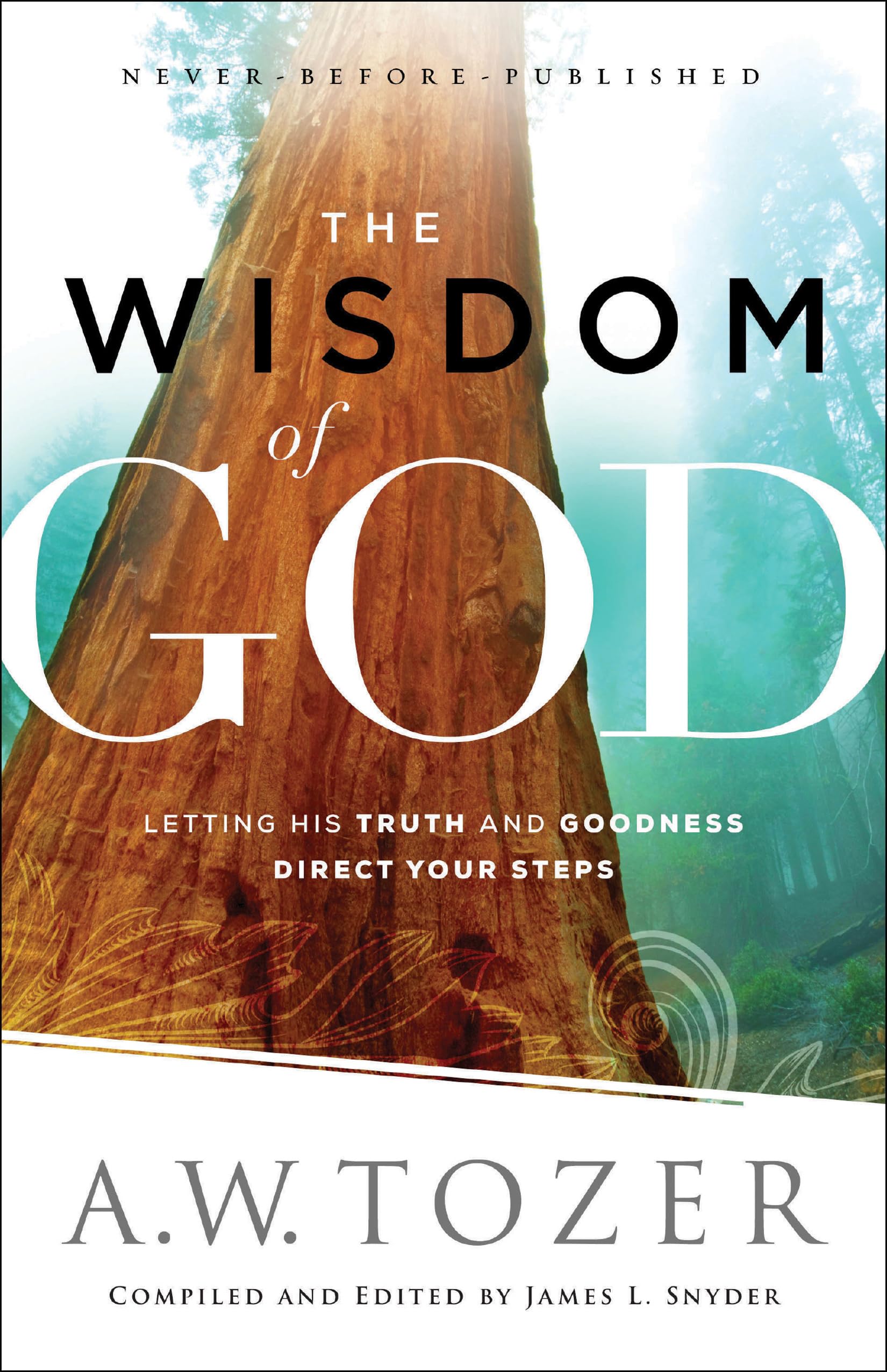 The Wisdom of God by A w Tozer PAPERBACK 9780764218088