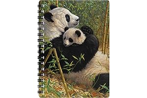 Jotter - A New Dynasty From Deluxebase: The Pinnacle Of Creative Expression