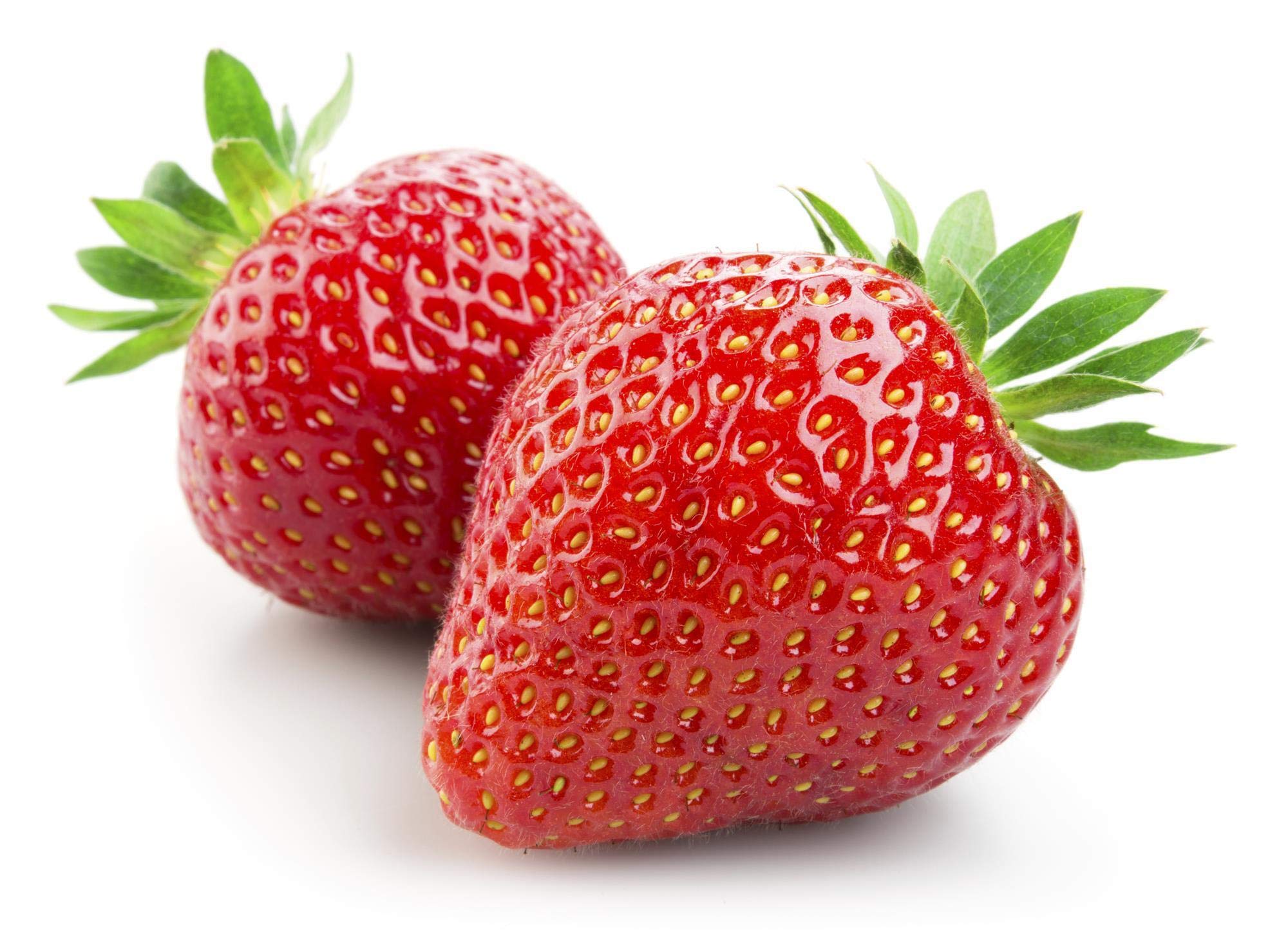 See full amazon price history chart for Green Gallery Strawberry Fresh Fruit Seeds for TerrSPACE and Kitchen Indoor Outdoor Gardening Planting Farming Green Gallery Strawberry Fresh Fruit Seeds for TerrSPACE and Kitchen Indoor Outdoor Gardening Planting Farming (B08D8CJ6LB) Amazon Price History, Amazon Price Tracker