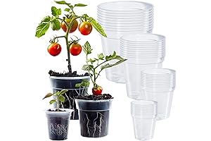 Hourleey Clear Planter Pots with Drainage Holes for Plants