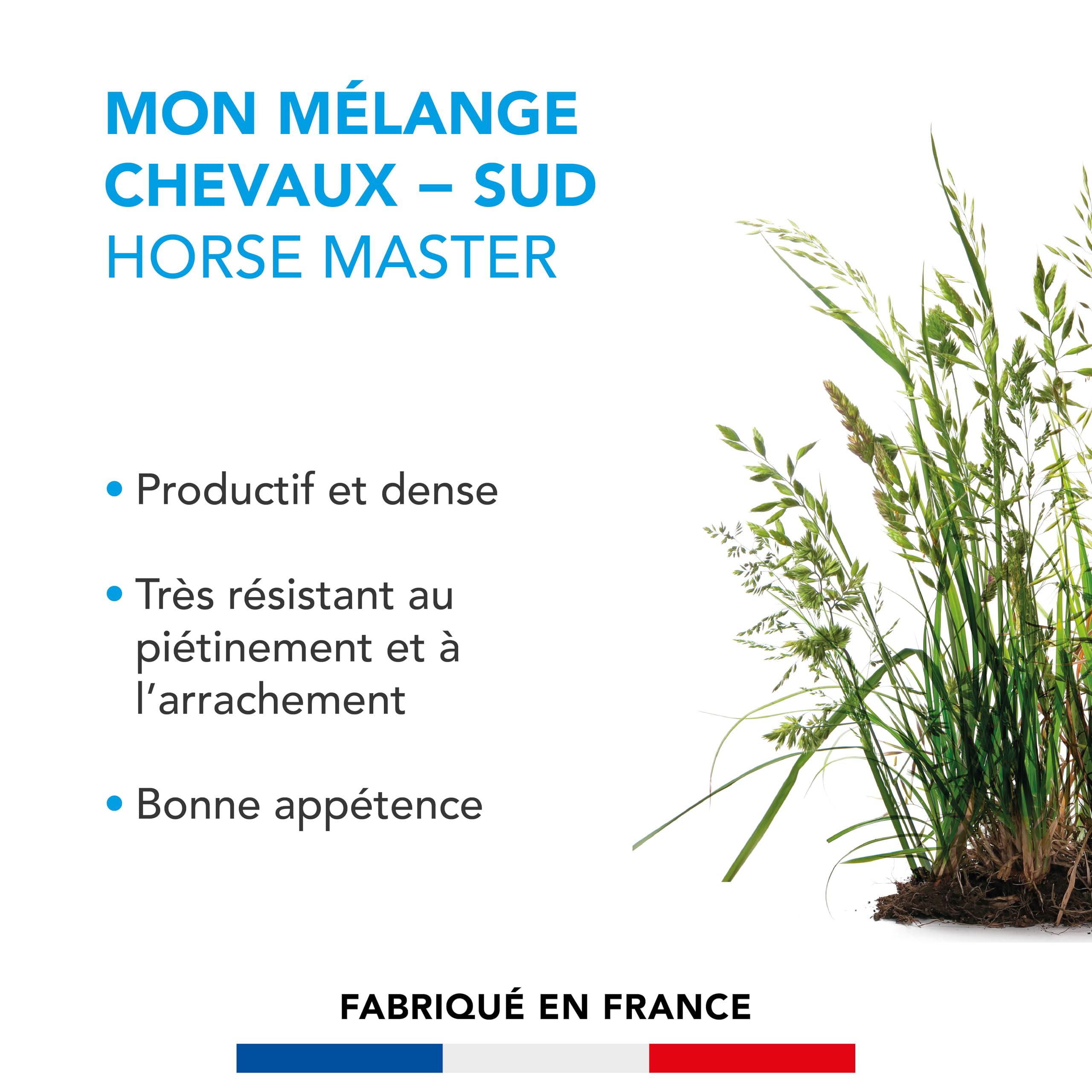 BARENBRUG - Mélange Chevaux - Horse Master Sud - Climats Secs - 10KG | Résiste au Piétinement et à l'Arrachement - Prairie Productive - Fabriqué en France
