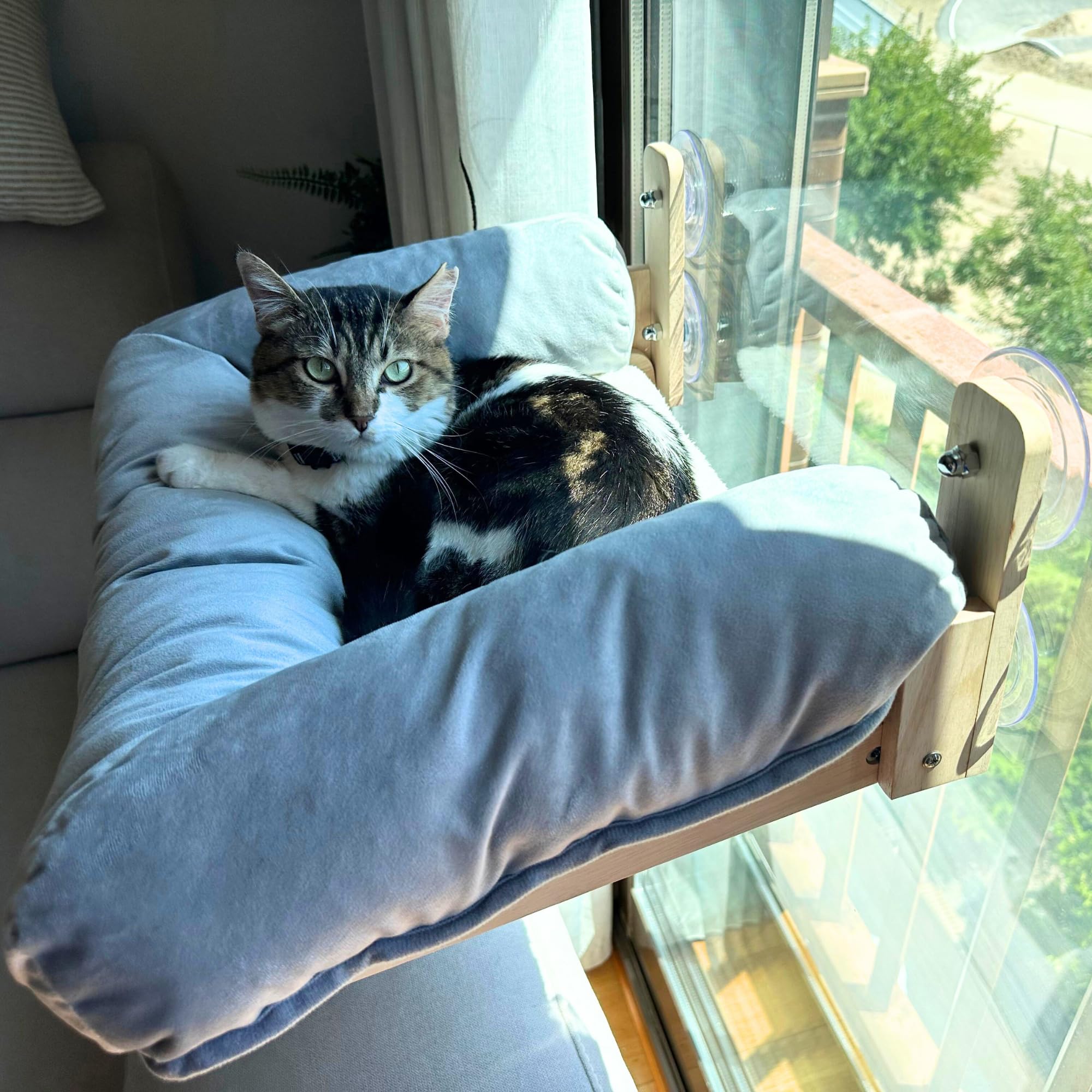 CATTUNED | Cama Gato Ventana, Madera Maciza + Cama-Nido Ultra Suave, Ventosas Extra Fuertes, Diseño Minimalista, Ideal para Interior Moderno, Hamaca de Gato para Ventana, Hamaca para Gatos Grandes