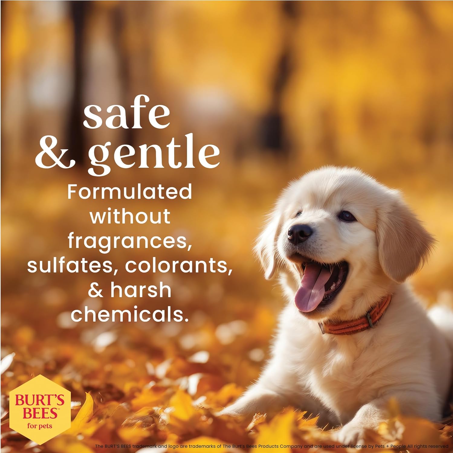 Burt's Bees Tearless Puppy Shampoo for Dogs 32oz, Armenia Ubuy