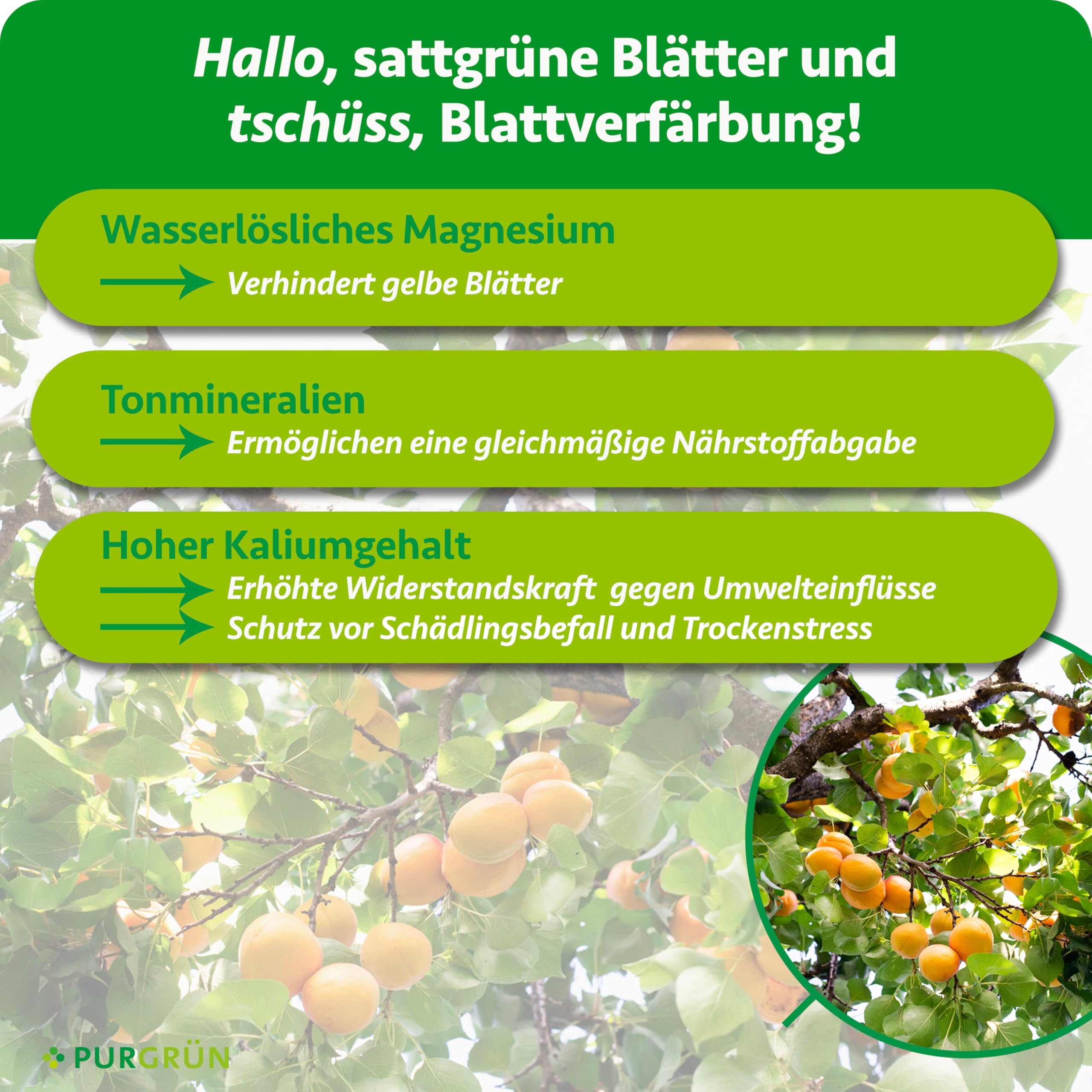 Bio-Obstbaum-Dünger 1 kg – Organisch-mineralische Rezeptur – Feinkörniges Krümelgranulat – NPK 6+3+8 – Mit Magnesium für große, aromatische Früchte – Verbessert die Bodenqualität