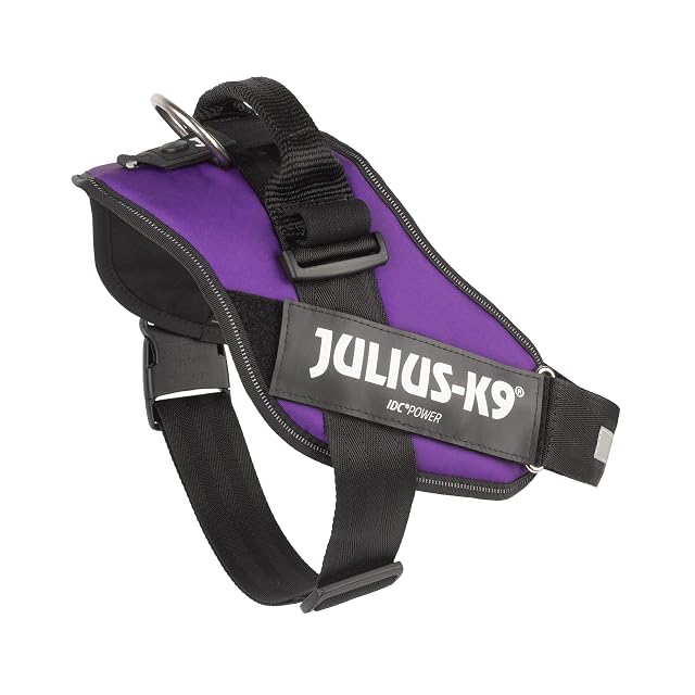 Foto 5 de 8 de Julius-K9 Arnés IDC Power, Tamaño: XL/2, Morado Oscuro