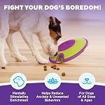 Outward Hound by Nina Ottosson Dog Treat Maze Dog Puzzle Enrichment Toy, Level 2 Intermediate, Green