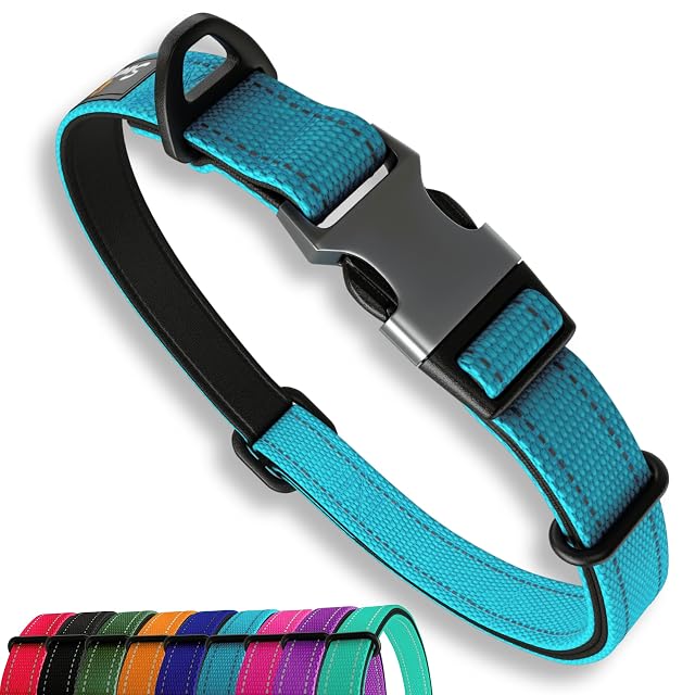 Sweetie Collar para Perros Acolchado Neopreno - Reflectante, Anillo Aluminio Anti-Óxido, Antitirones
