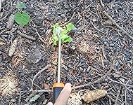 Review Image by A Guy A Guy