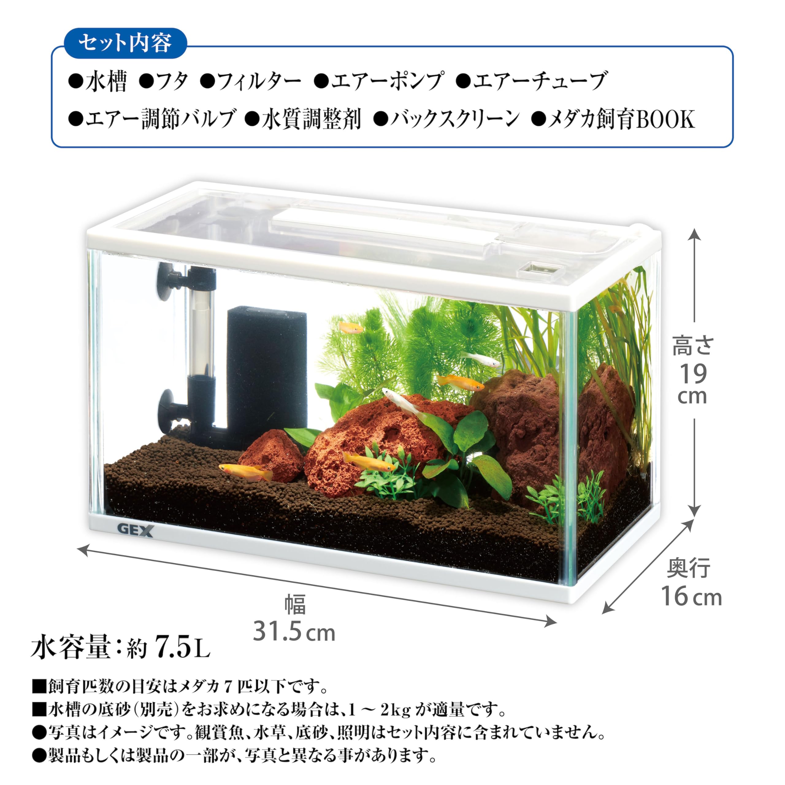 Amazon | ジェックス GEX メダカ元気 メダカのための水槽セット300 
