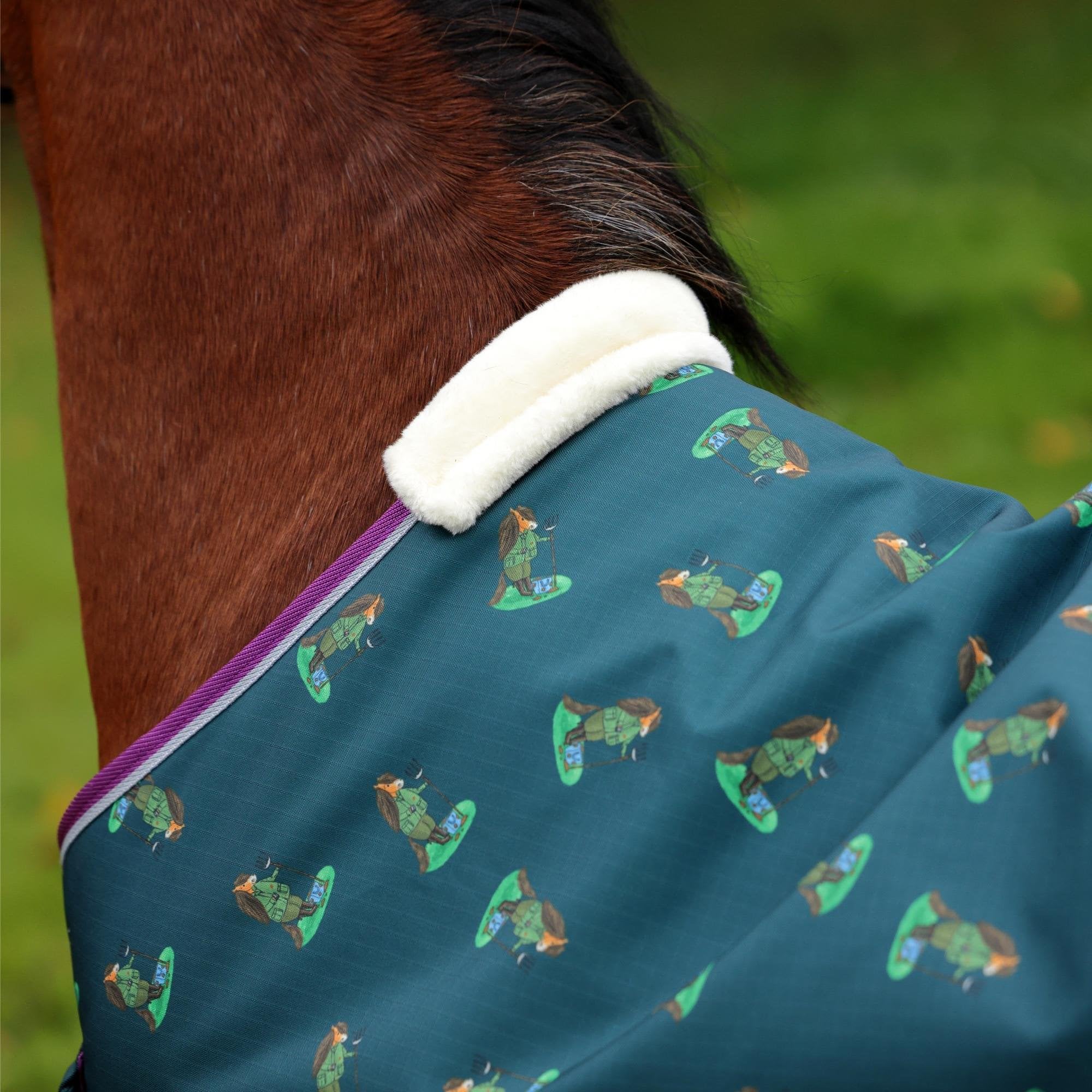 View 5